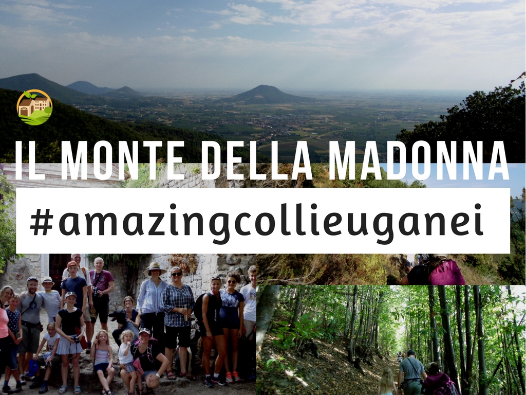 Il monte della Madonna / Rovolon/ #amazingcolliEuganei